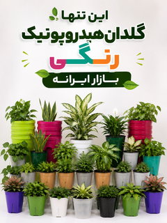 گلدان هیدروپونیک رنگی